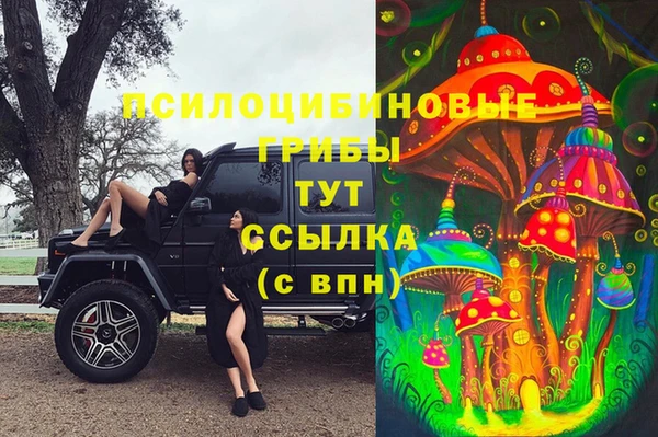 прущая мука Богородск