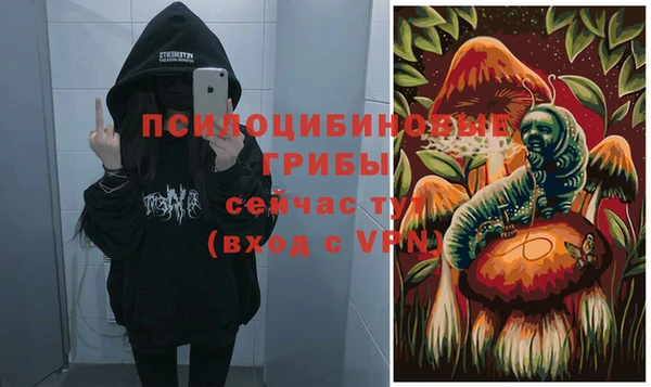 бутират Бородино